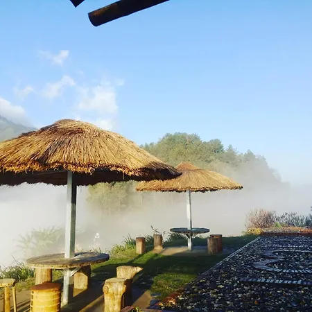 Mu Cang Chai Big View Homestay, Tour & Vegetarian Exterior photo