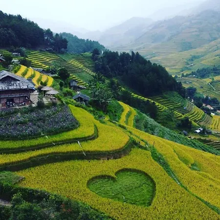 Mu Cang Chai Big View Homestay, Tour & Vegetarian Exterior photo