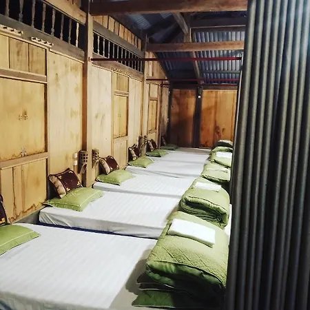Mu Cang Chai Big View Homestay, Tour & Vegetarian Exterior photo