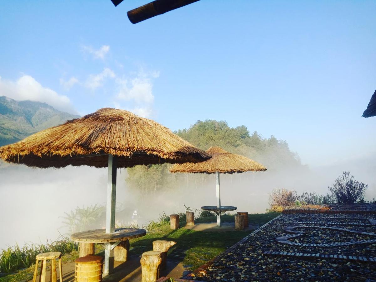 Big View Homestay, Tour & Vegetarian Guest house